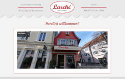 Website Erstellung Larche